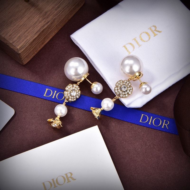 Christian Dior Earrings